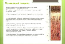Photo of Общая характеристика и профессиональная деятельность